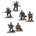 German Veteran Infantry Starter Army