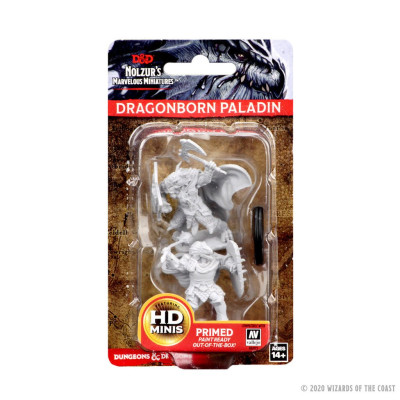 Nolzur's Marvelous Miniatures - Dragonborn Male Paladin