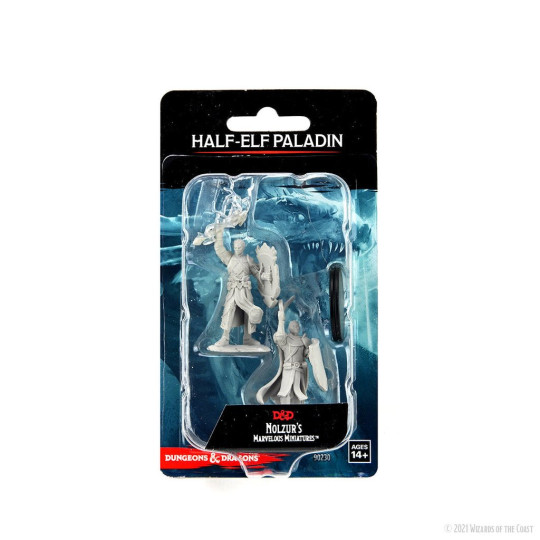 Nolzur's Marvelous Miniatures - Half-Elf Paladin Male