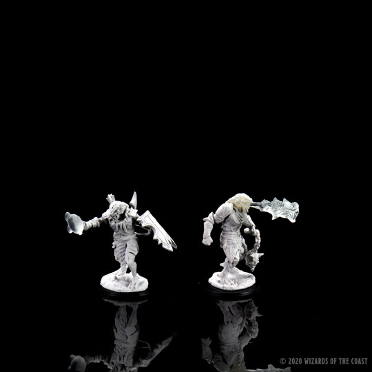 Nolzur's Marvelous Miniatures - Male Dragonborn Paladin
