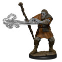 Nolzur's Marvelous Miniatures - Male Firbolg Druid