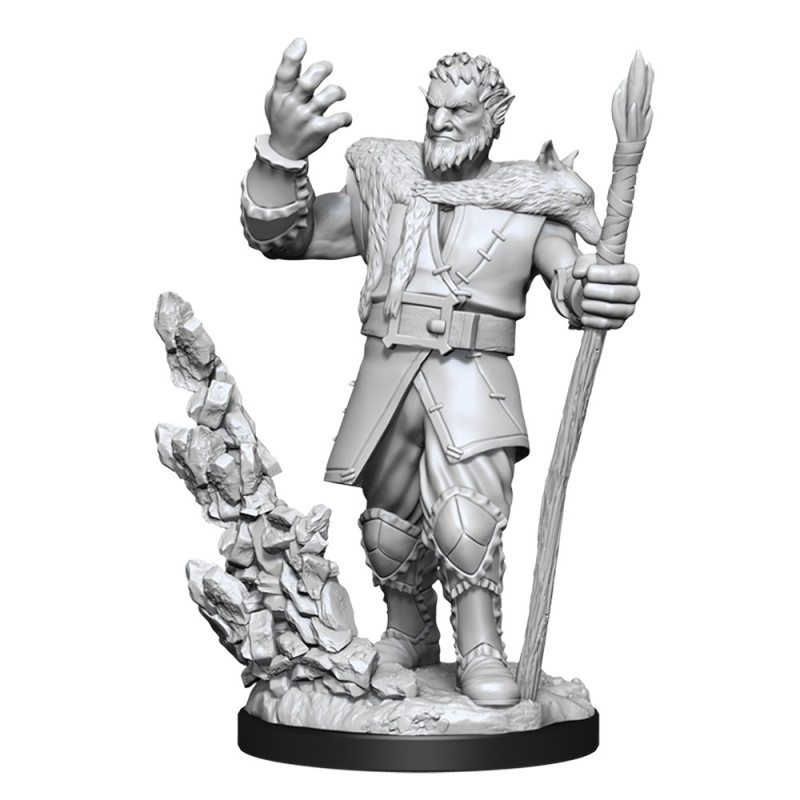 Nolzur's Marvelous Miniatures - Male Firbolg Druid