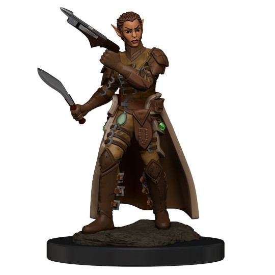 Nolzur's Marvelous Miniatures - Shifter Rogue Female