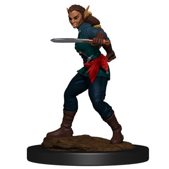 Nolzur's Marvelous Miniatures - Shifter Rogue Female