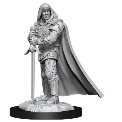 Nolzur's Marvelous Miniatures - Human Paladin Male