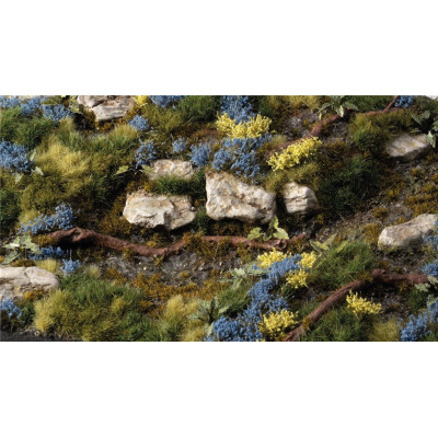 Gamers Grass: Bluebeard Flowers