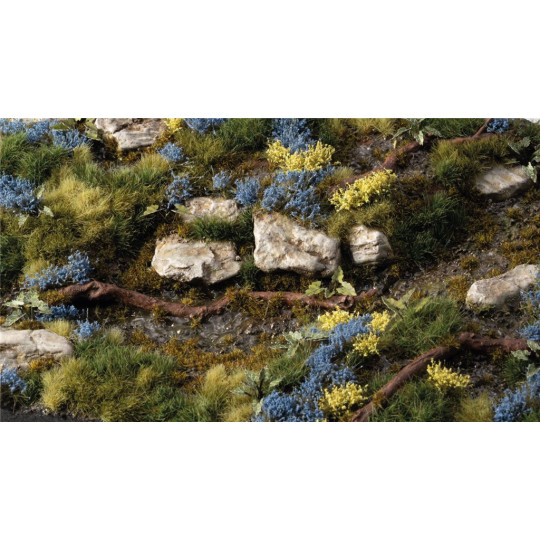 Gamers Grass: Bluebeard Flowers