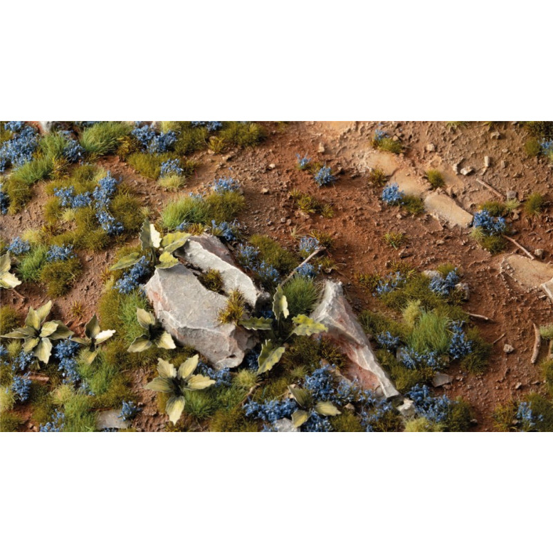 Gamers Grass: Cornflower Tiny Flowers