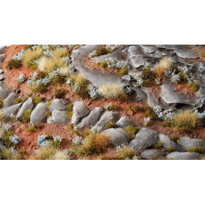 Gamers Grass: Forget-me-not Tiny Flowers