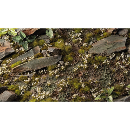 Gamers Grass: White Lily Tiny Flowers