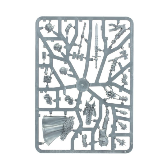 Age of Sigmar: Questor Soulsworn