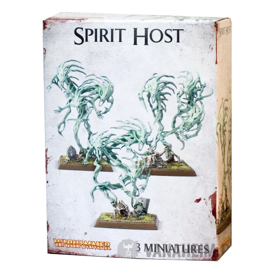 Spirit Hosts