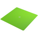 Gamegenic: Magnetic Dice Tray - Square - Black/Green