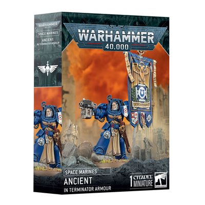 Space Marines: Ancient In Terminator Armour