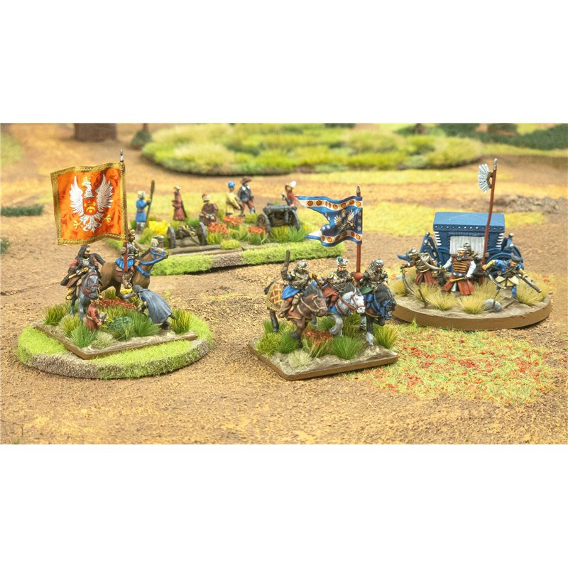 Rebelia. Wojska koronne