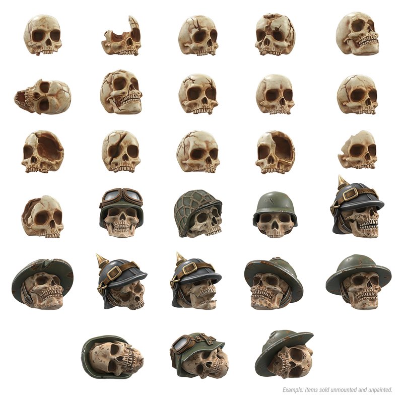 1000x Battlefield Resin Skulls 1:48-1:35