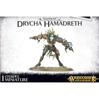 Drycha Hamadreth