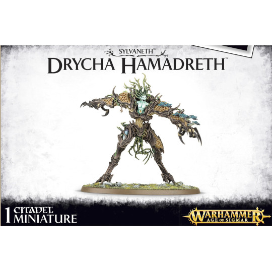 Drycha Hamadreth