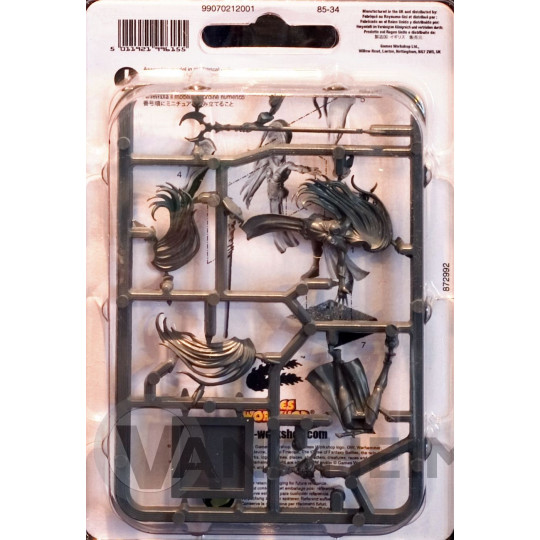 Vampire Counts Necromancer