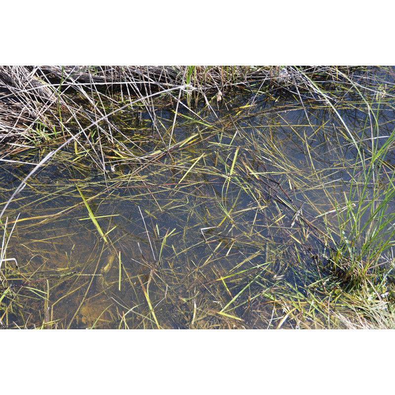 Still Water - 250ml (Acryl)