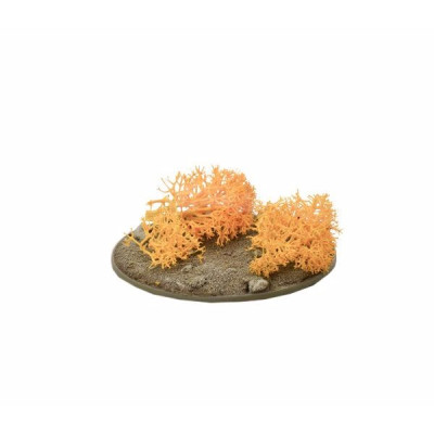 Orange Lichen (180ml)