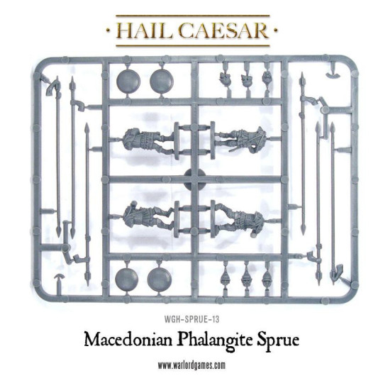 Macedonian Phalangites