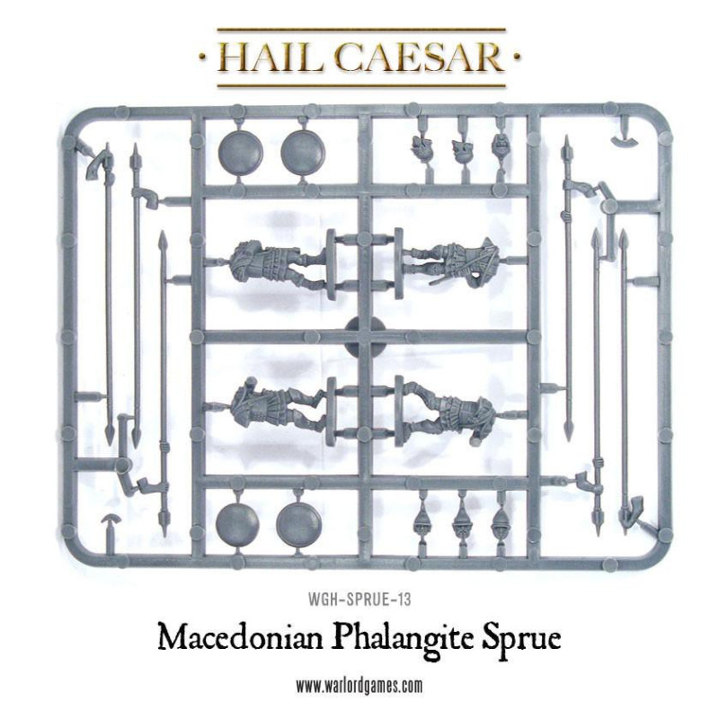 Macedonian Phalangites