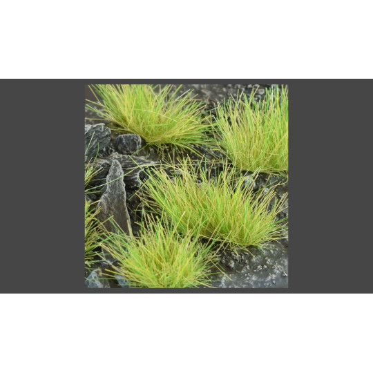 Light Green XL (12mm)