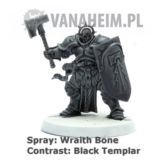 Citadel Contrast: Black Templar