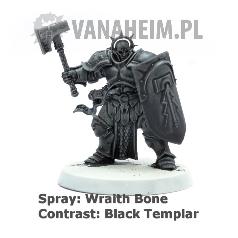 Citadel Contrast: Black Templar