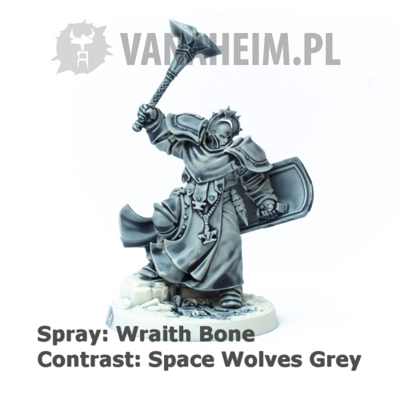 Citadel Contrast: Space Wolves Grey