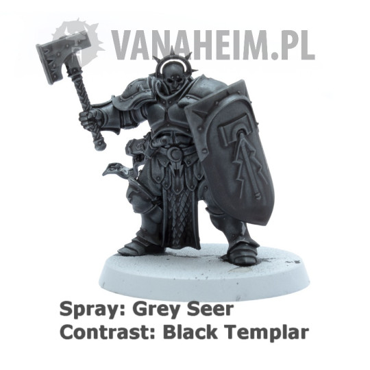 Citadel Contrast: Black Templar