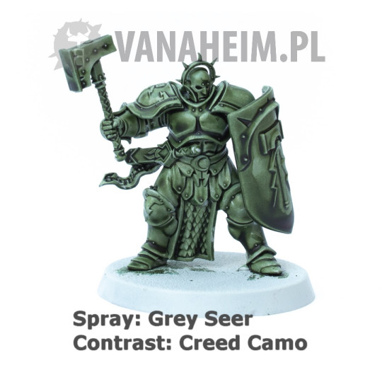 Citadel Contrast: Creed Camo