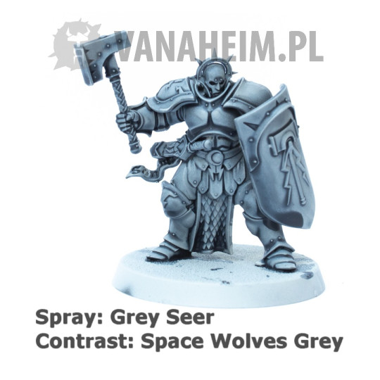 Citadel Contrast: Space Wolves Grey