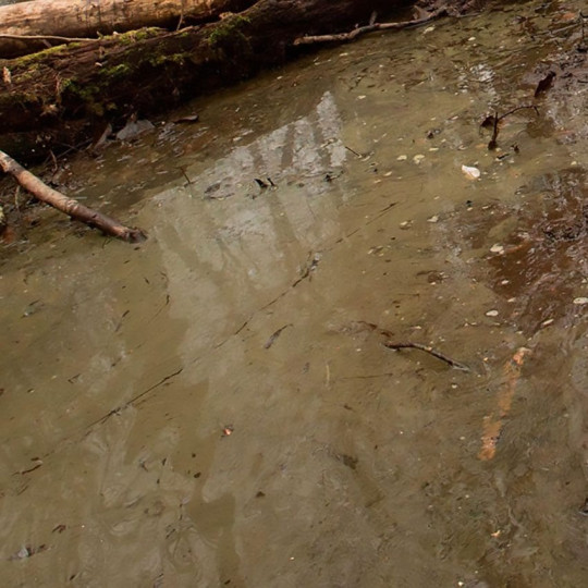 Water Gel Swamp Green Effects - 250ml (Acryl)