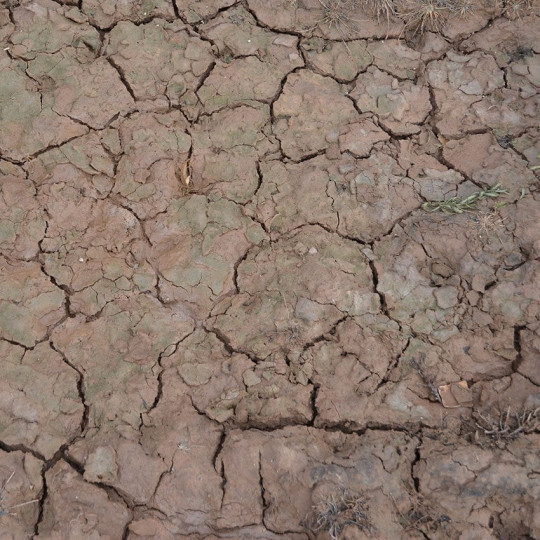 Wet Crackle Effects - 100ml (Acryl)