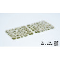 Gamers Grass Tufts: White Flowers
