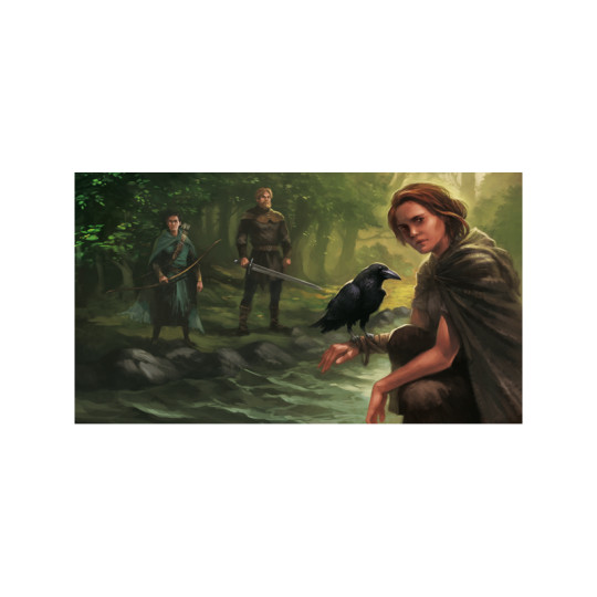 Przygody Robin Hooda