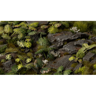 Gamer's Grass Laser Plants - Monstera