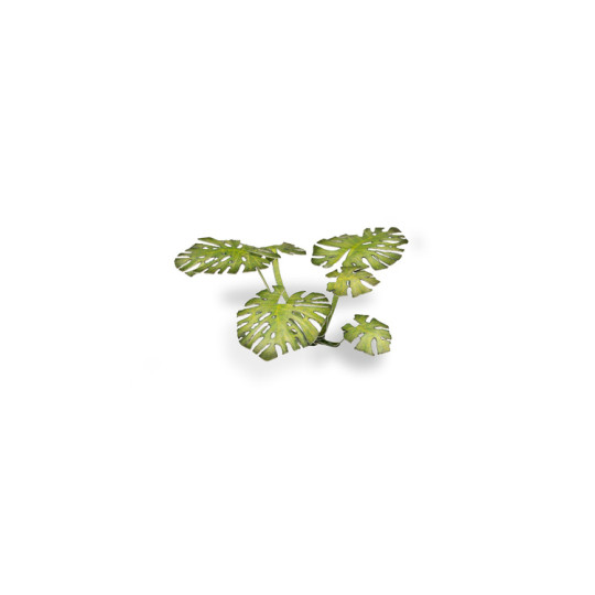 Laser Plants- Monstera