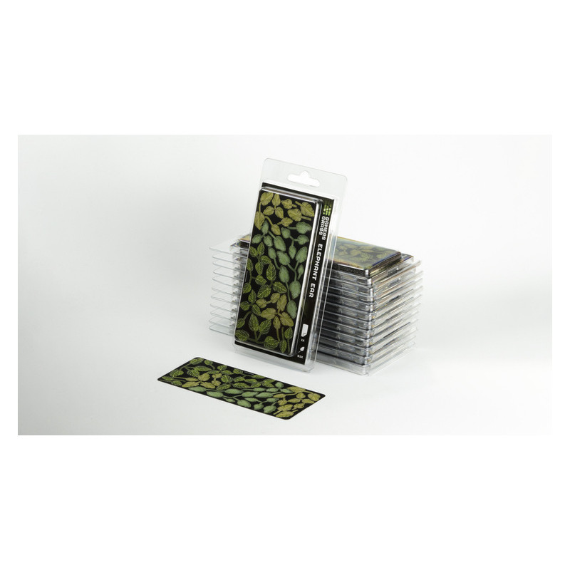 Laser Plants - Elephant Ear - Kolokazja