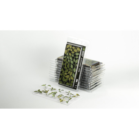 Laser Plants - Elephant Ear - Kolokazja