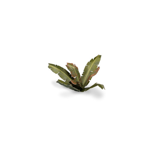 Laser Plants - Banana Tree - Bananowiec