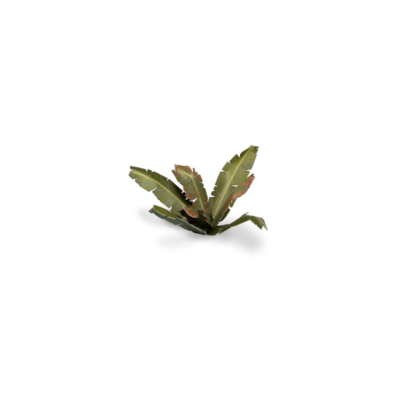 Laser Plants - Banana Tree - Bananowiec