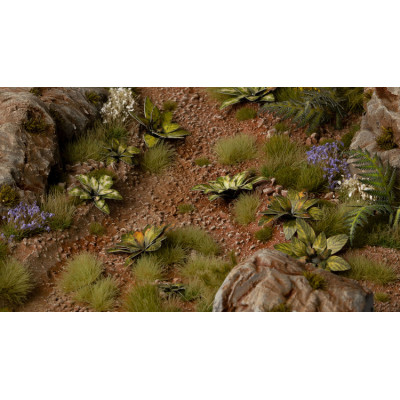 Laser Plants - Dumb Cane - Difenbachia