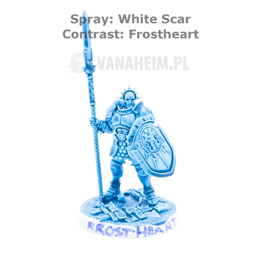 Citadel Contrast: Frostheart