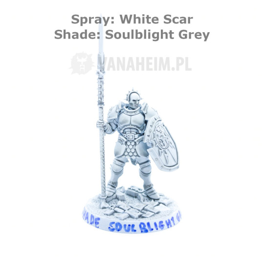 Citadel Shade: Soulblight Grey (18ml)