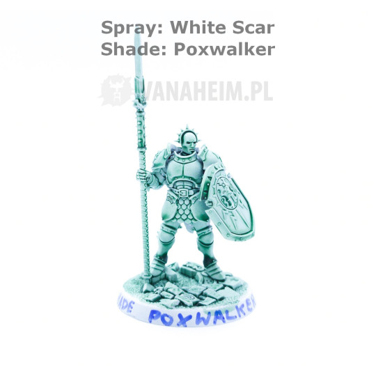 Citadel Shade: Poxwalker (18ml)