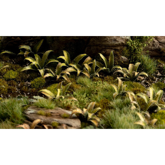 Laser Plants -  Deer Fern - Podrzeń żebrowiec