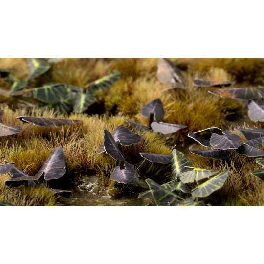 Laser Plants - Black Magic Taro - Kolokazja Black Magic